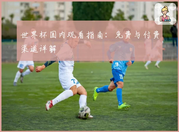 世界杯国内观看指南：免费与付费渠道详解