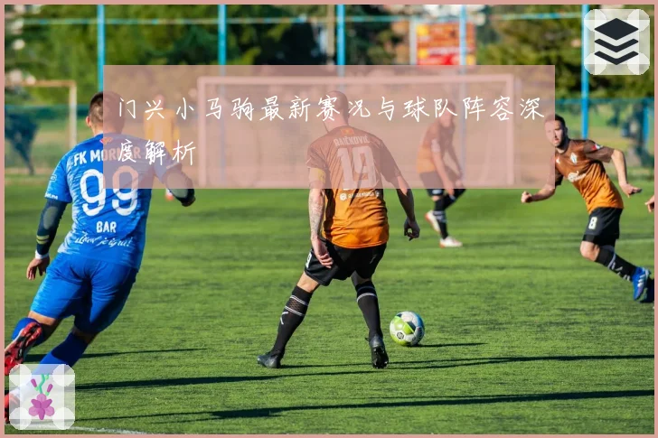 门兴小马驹最新赛况与球队阵容深度解析